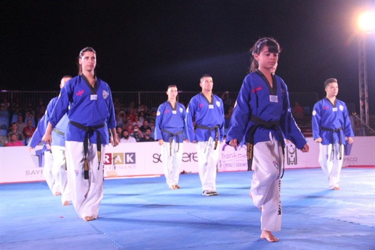 Martial Arts Festival